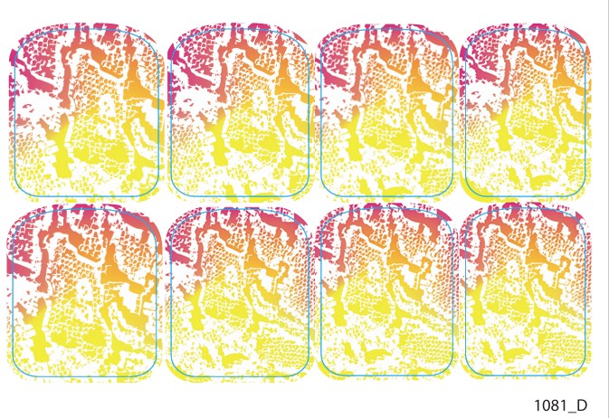 Large nail decoration films for pedicure - 1081D