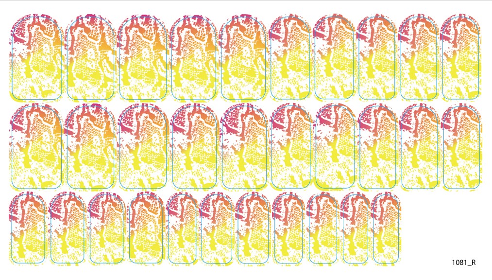 Nail decoration films for manicure - 1081R 