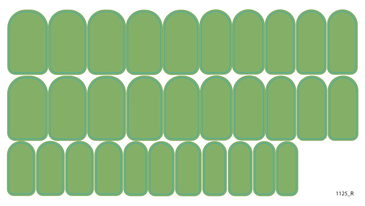 Nail decoration films for manicure - 1125R 